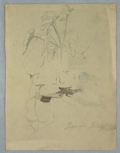 デッサン、岩の上に生えるフィロデンドラム（ジャマイカ、1865年6月 作： フレデリックエドウィン教会