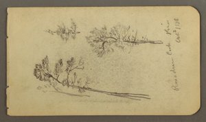 素描、松の習作、1878年