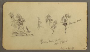 素描、松の習作、1878年 作： フレデリックエドウィン教会