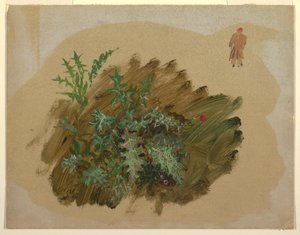 デッサン、植物学、1865年 作： フレデリックエドウィン教会