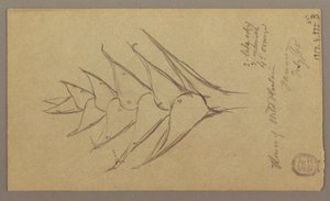 ドローイング、海景、1865年4月29日 作： フレデリックエドウィン教会