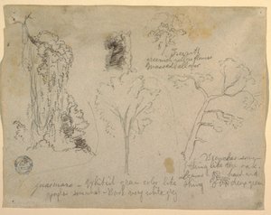 デッサン、リオ・マグダレナから見た樹木と植物の研究、コロンビア、1853年 作： フレデリックエドウィン教会