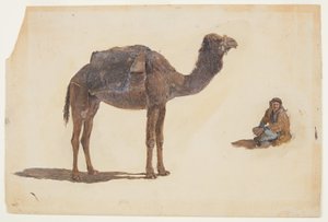 ドローイング、ドロメダリーの習作、1868年