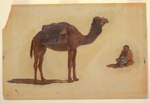 ドローイング、ドロメダリーの習作、1868年
