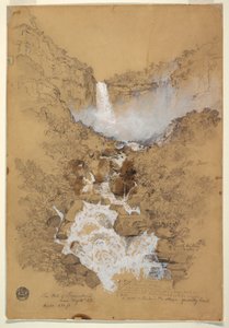 デッサン、コロンビア、ボゴタ近郊のテケンダマ滝、1853年7月
