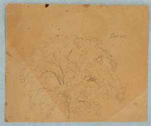 素描、木；裏面：教会の眺め、1636年の2人のイギリス人女性、馬の習作、1845年10月 作： フレデリックエドウィン教会