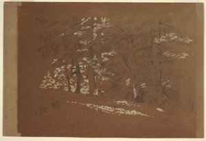 ドローイング、樹木、ベルヒテスガーデン、バイエルン州、1868年 作： フレデリックエドウィン教会