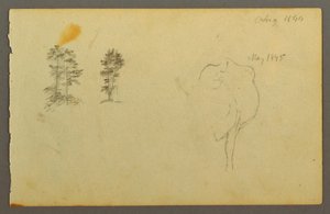 デッサン、木、牛、1844年 作： フレデリックエドウィン教会