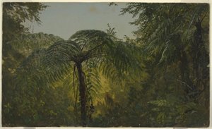 ドローイング、熱帯の風景、1865年6月または7月