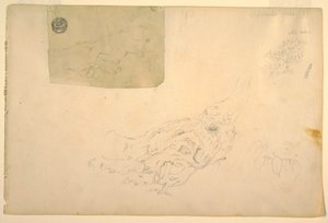 ドローイング、震える両手、ニョロニョロした木の根、1844年9月 作： フレデリックエドウィン教会