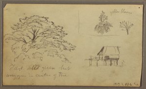 デッサン、グアヤキルの眺め、エクアドル、1857年5月23日 作： フレデリックエドウィン教会