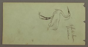デッサン、白鷺、おそらく1869年