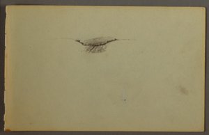 ドローイング、夕暮れの森、おそらく1844年 作： フレデリックエドウィン教会