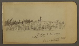 ドローイング、森の海岸、1878年 作： フレデリックエドウィン教会