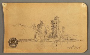 ドローイング、森の海岸、1878年