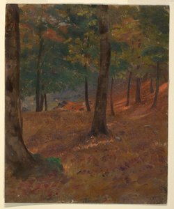 ドローイング、森の風景、1870-80年 作： フレデリックエドウィン教会