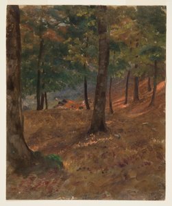 ドローイング、森の風景、1870-80年