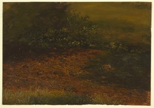 1848年9月、キャッツキル山脈の森の流れ