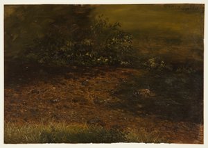 1848年9月、キャッツキル山脈の森の流れ