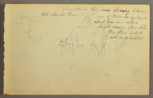 ドローイング、雲間の光線、雄牛、おそらく1877年 作： Frederic Edwin Church