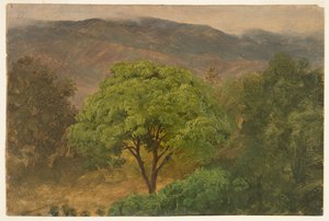 山、ジャマイカの Genip ツリー 作： Frederic Edwin Church