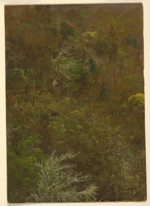 木々のある丘の中腹、ジャマイカ 作： Frederic Edwin Church