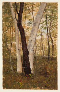 イン ザ ウッズ、ハドソン、ニューヨーク 作： Frederic Edwin Church