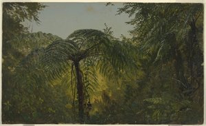 ジャングルの葉、ジャマイカ 作： Frederic Edwin Church