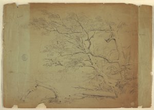木と小川のある風景[？]、グランドマナン島、カナダ 作： Frederic Edwin Church