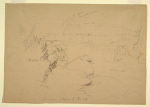 ナイアガラの滝、ヤギ島からの眺め 作： Frederic Edwin Church