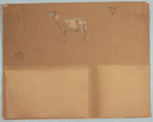羊、エクアドルまたはコロンビアの研究 作： Frederic Edwin Church
