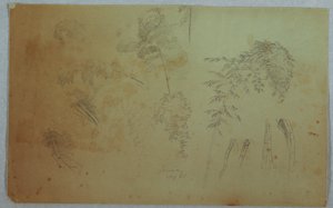 木のてっぺんと竹の研究、ジャマイカ 作： Frederic Edwin Church