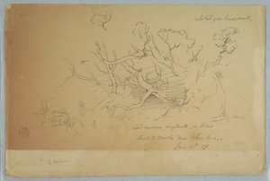 木と岩の研究、エクアドルのチンボラソ近くのモチョへの道 作： Frederic Edwin Church