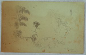 ジャマイカ、ベルビュー、頭にバナナを運ぶ男性の小さな詳細と竹の詳細を備えた木の習作 作： Frederic Edwin Church