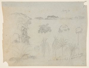 梢・樹木・五草図・離島で学ぶ 作： Frederic Edwin Church