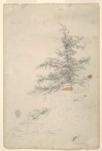 木、小川 作： Frederic Edwin Church