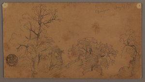 ツリー・トップス、ナイアガラ 作： Frederic Edwin Church