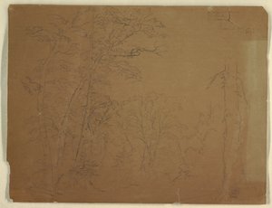 木、グランドマナン島、カナダ 作： Frederic Edwin Church