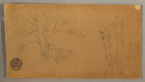 木と植物、エレカンペン 作： Frederic Edwin Church