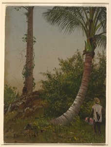 ジャマイカ、西インド諸島の木 作： Frederic Edwin Church