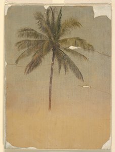 ヤシの木の幹と頂上 作： Frederic Edwin Church