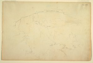 樹木が茂った丘の中腹、キャッツキル山脈 作： Frederic Edwin Church