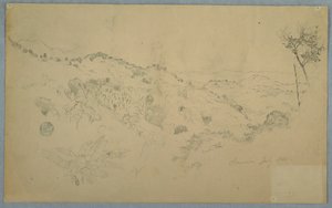 大きなシダと遠くの山脈、ジャマイカの樹木が茂った谷 作： Frederic Edwin Church