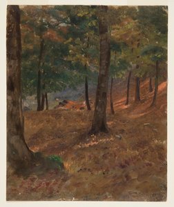 ウッドランド シーン 作： Frederic Edwin Church