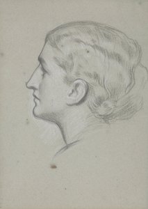 絵画のための女性の頭の研究「ヴェネツィアの高貴な女性」
