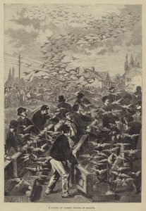 ベルギーの伝書鳩の飛行 作： Frederic Theodore Lix
