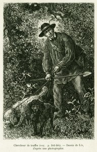 トリュフを探す人。エドワード・シャルトン（1807-1890）が監督した『tour du monde 1886』の中で、ドイツ人デピューター、シャルル・グラッドが1884年に行った「A Through Alsace and Lorraine（アルザスとロレーヌを通って）」という物語を説明するためにリックスが描いたもので、Hachette, Parisにあります。