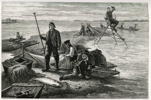 鮭釣り。ドイツの代官、作家、博物学者であるチャールズ・グラッド（1842-1890）が1884年に発表した「アルザスとロレーヌを通って」という物語の挿絵として、F.Lixが描いたもの。Le Tour du monde, nouveau journal des voyages, second semester 1885, edited by 作： Frederic Theodore Lix