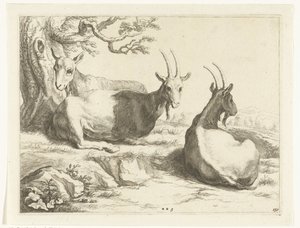 ヤギ Abraham Bloemaert のドローイング ブック (シリーズ タイトル) 作： Frederick Bloemaert