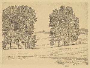 ヘイフィールドのヒッコリー、1917 年。 作： Frederick Childe Hassam